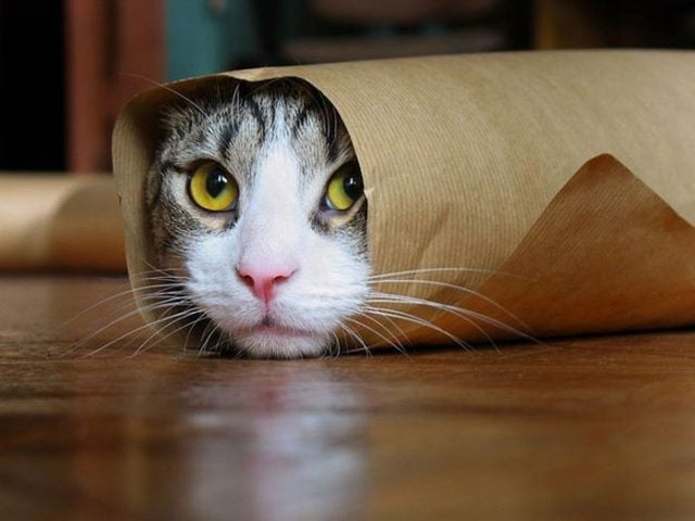  СЮДА НАЗВАНИЕ ТОВАРА ИЗ like__item-title